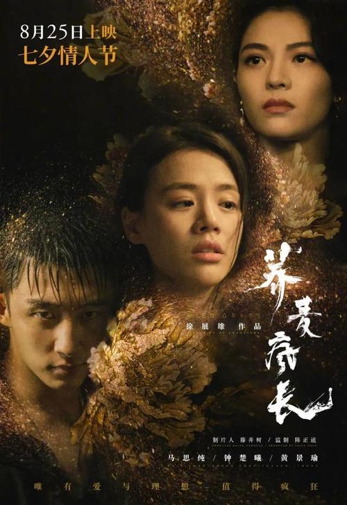 阿维尼翁大学成绩单修改